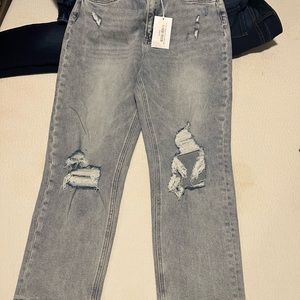 VERVET LIGHT WASH SKINNY JEANS 29